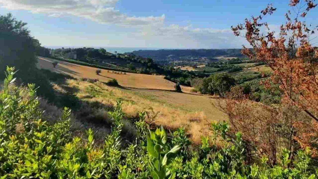La Sorgente Country House, Massignano, panorama