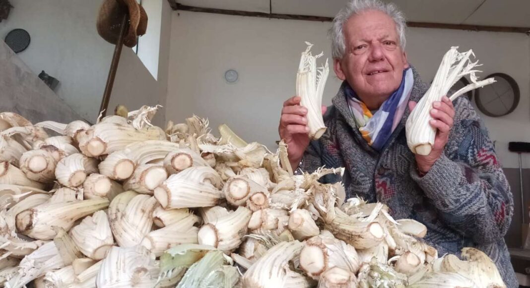 Beppe Orsini coi cardi gobbi