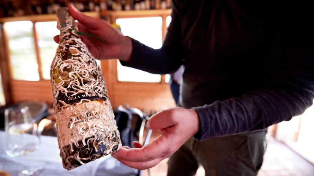 CORALWINE Bottiglia pronta per l'uso