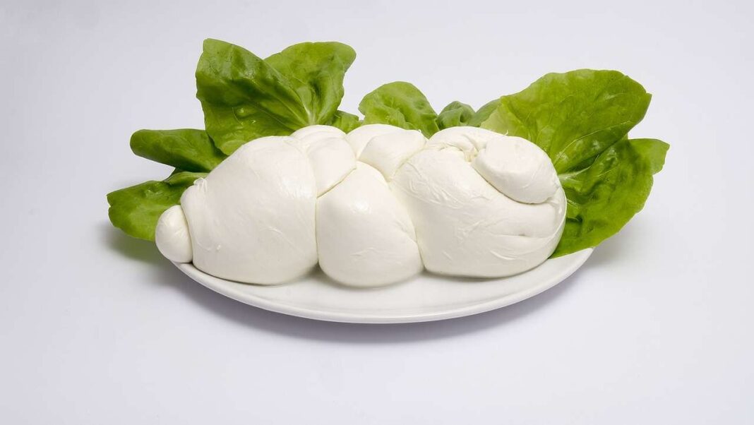 Mozzarella di bufala - foto pixabay