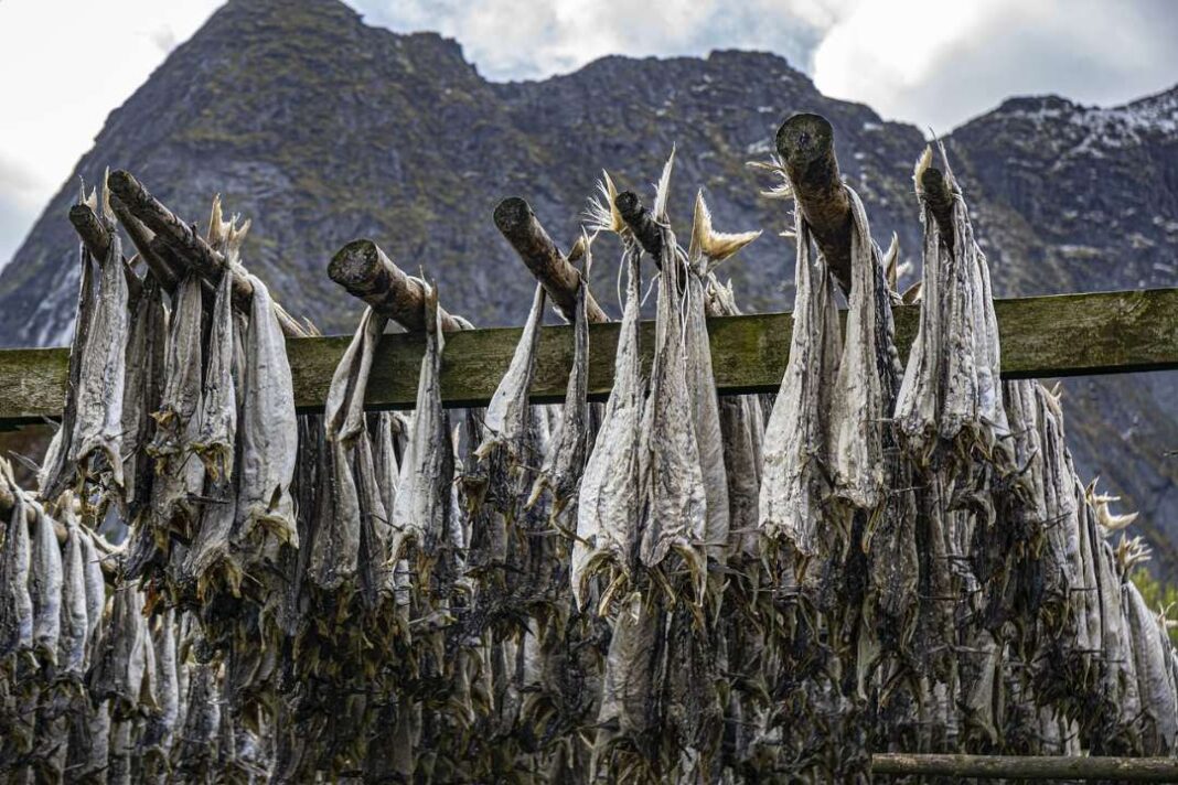 rastrelliere di stoccafisso
