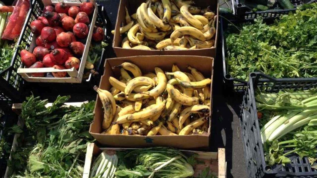 Con lo spreco alimentare in Italia potremmo sfamare 44 milioni di persone