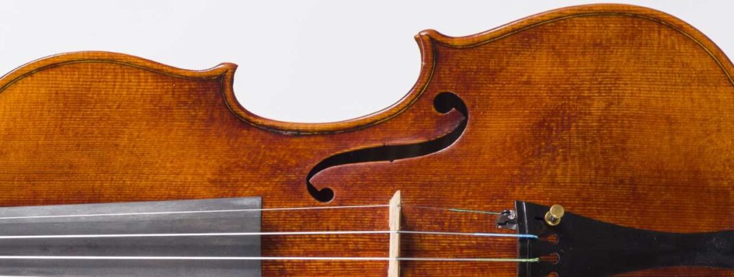 Violino