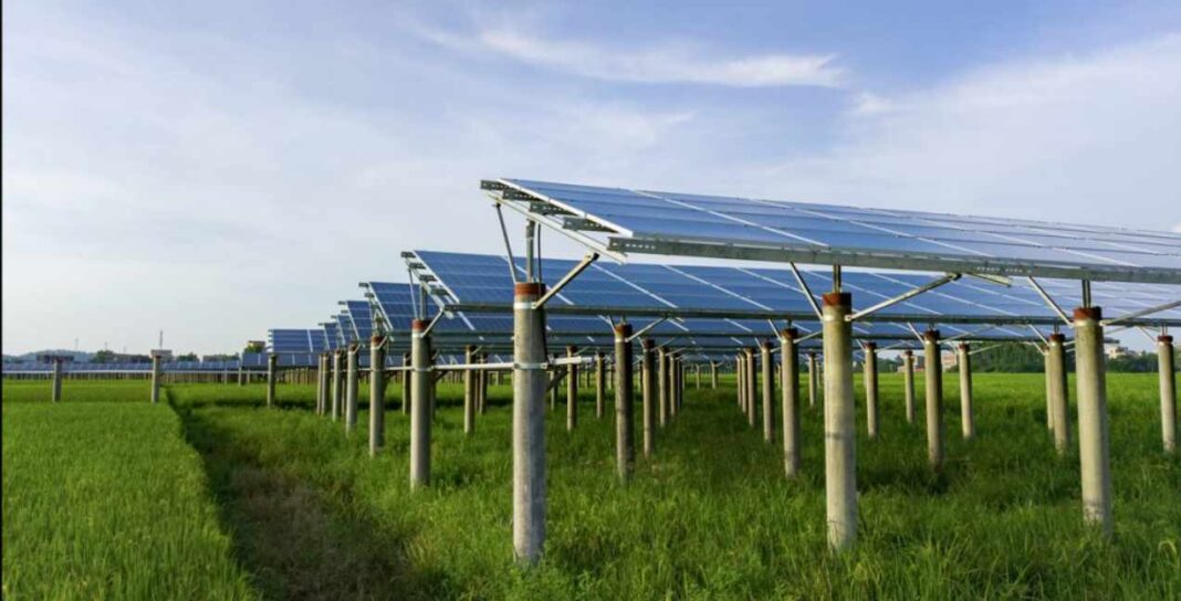 pannelli fotovoltaici nel campo