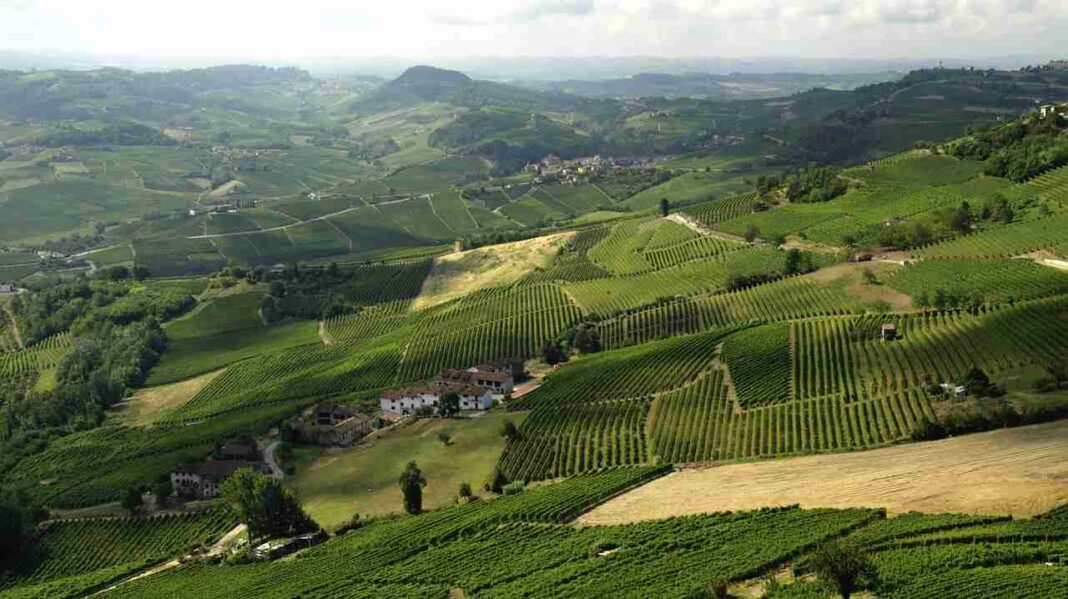 Langhe La Morra