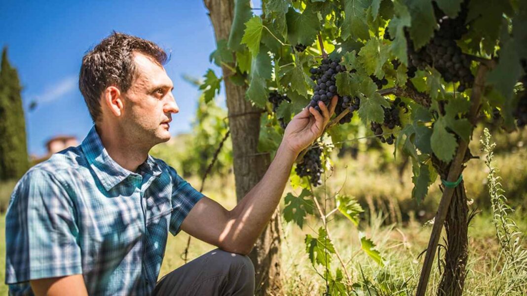 Leonardo Manetti e “Le ore eterne dell’Attesa”: quando il Chianti fa grande il made in Italy di vino e poesia