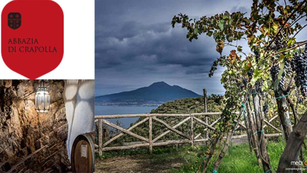 Abbazia di Crapolla, il 1° giugno apre il vigneto millenario: GRAINS porta a Vico Equense vino raro, panini d’autore e brioche artigianali